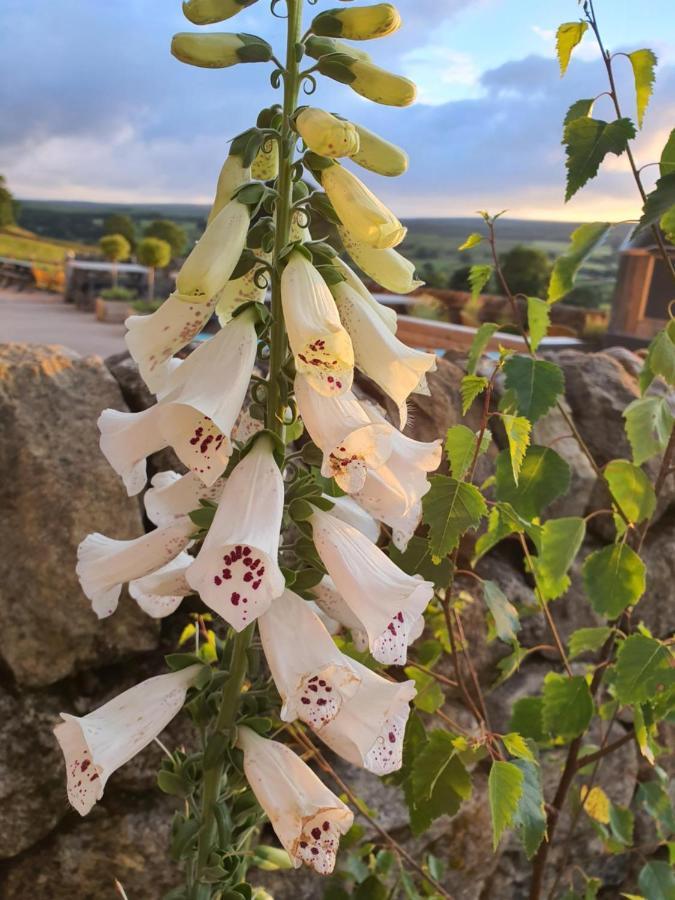Howgill Farm Bolton Abbey Appletreewick Exterior photo